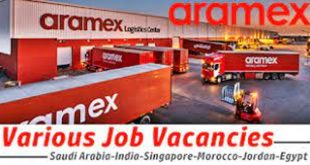 Aramex logistics career